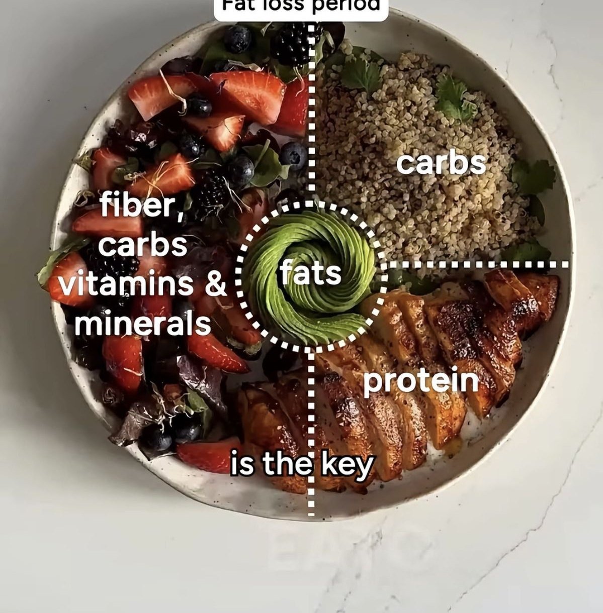 A balanced, portioned plate with protein, carbs, fats and fresh vegetables